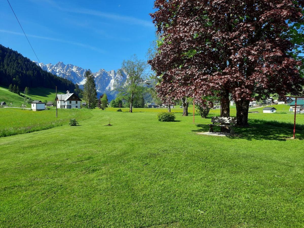Haus Gruenwald Διαμέρισμα Gosau Εξωτερικό φωτογραφία